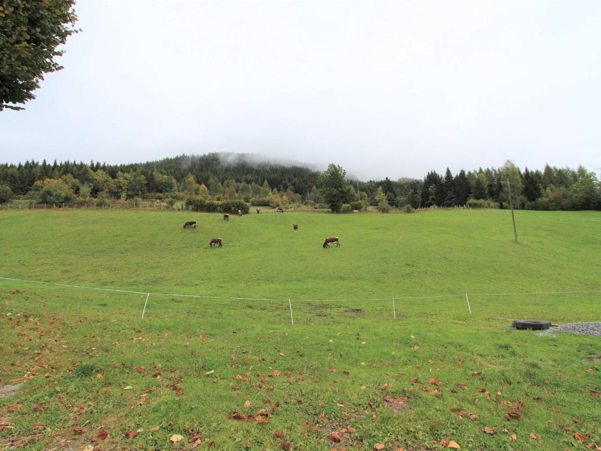 Beautiful Apartment In A Renovated Farmhouse In Fresach Carinthia ภายนอก รูปภาพ